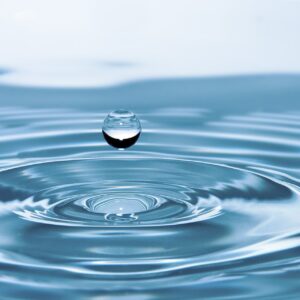 BIO-Consult engasjert i prosjekter som har med vann å gjøre